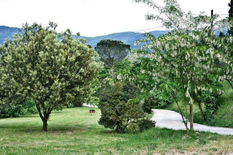 Il Molendino Pisa B&B Calci Exterior foto