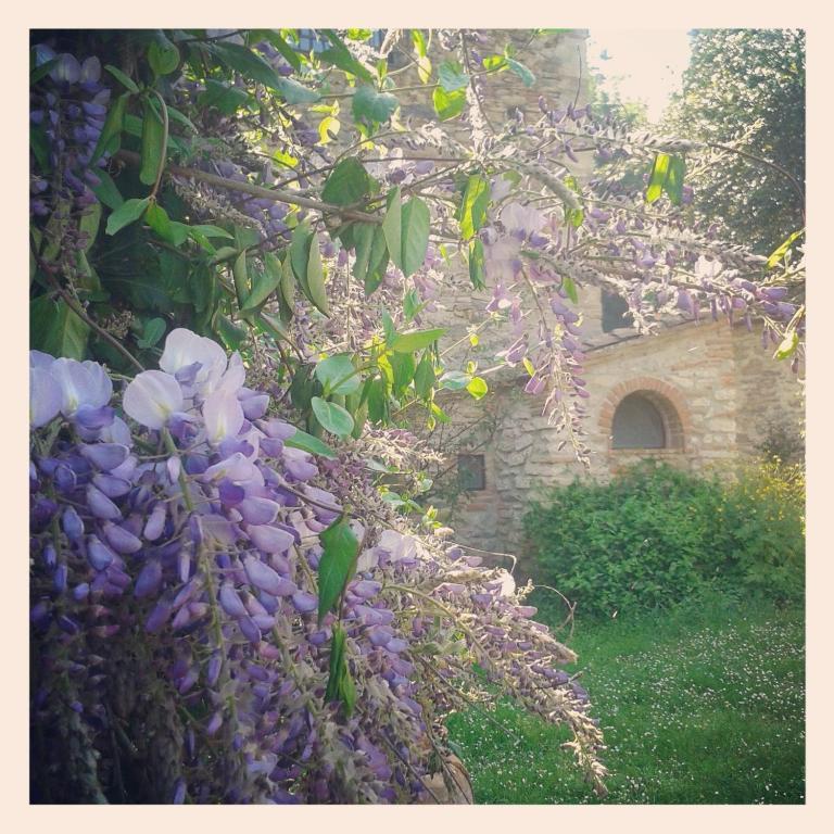 Il Molendino Pisa B&B Calci Exterior foto